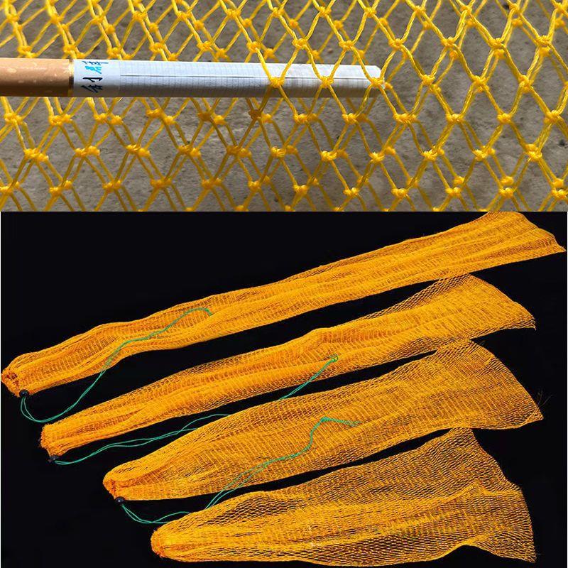 Six yellow eyes, one metre long
